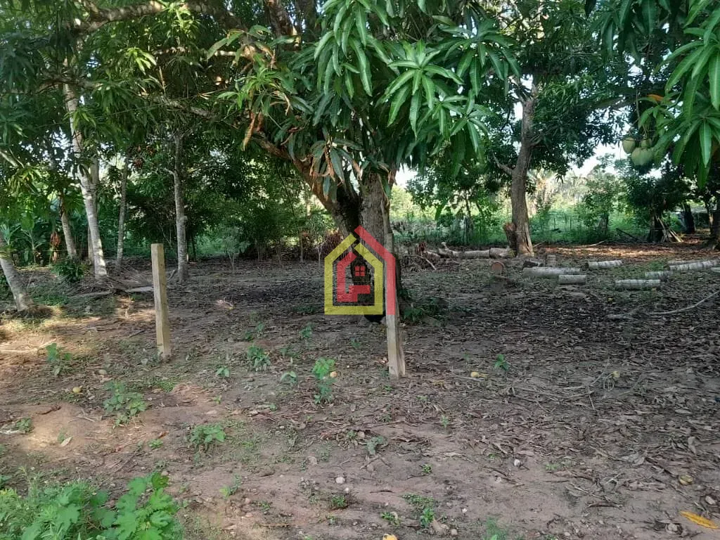 Rural à venda com 10000m² de terreno no Zona Rural, São João do Araguaia (PA) — foto 7 de 10