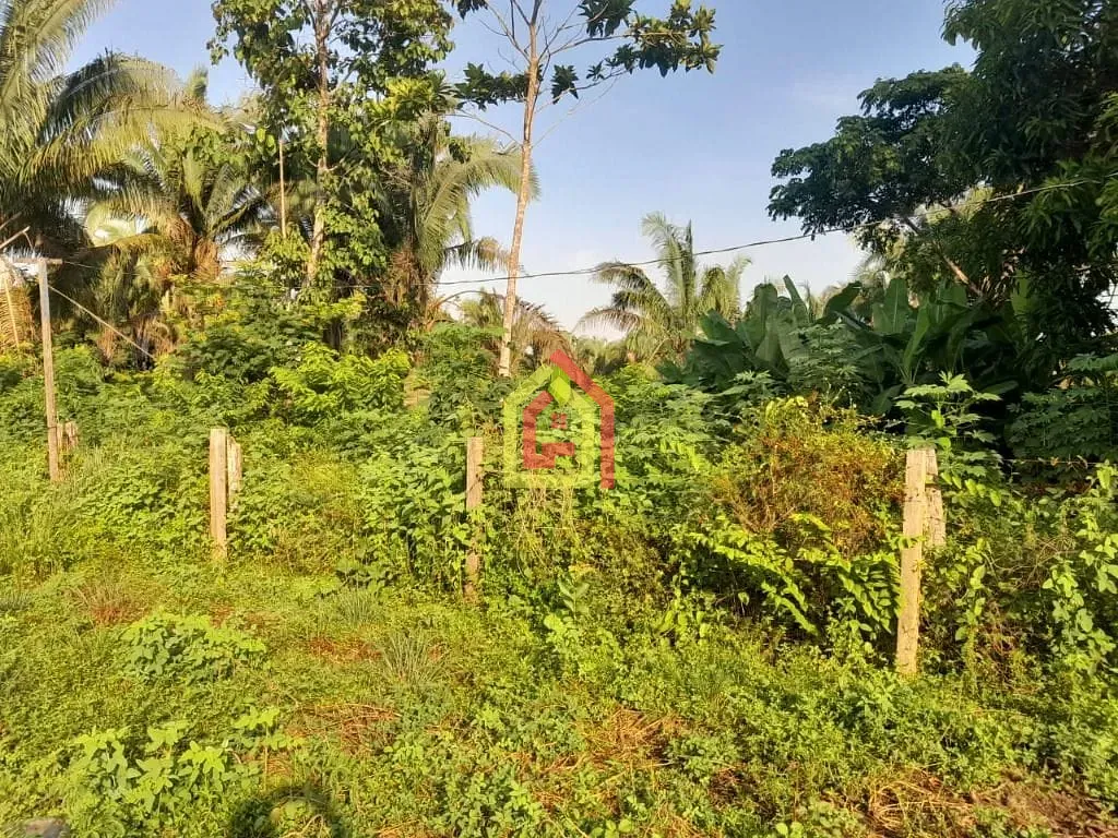 Rural à venda com 10000m² de terreno no Zona Rural, São João do Araguaia (PA) — foto 9 de 10