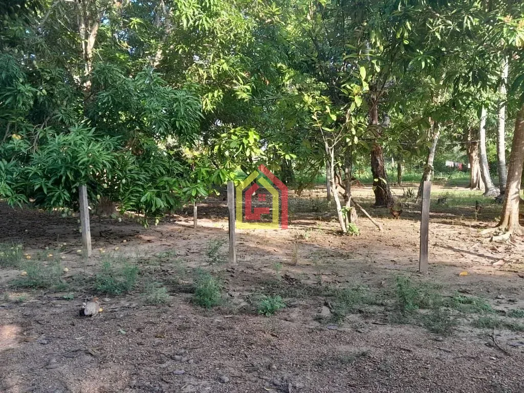 Rural à venda com 10000m² de terreno no Zona Rural, São João do Araguaia (PA) — foto 8 de 10