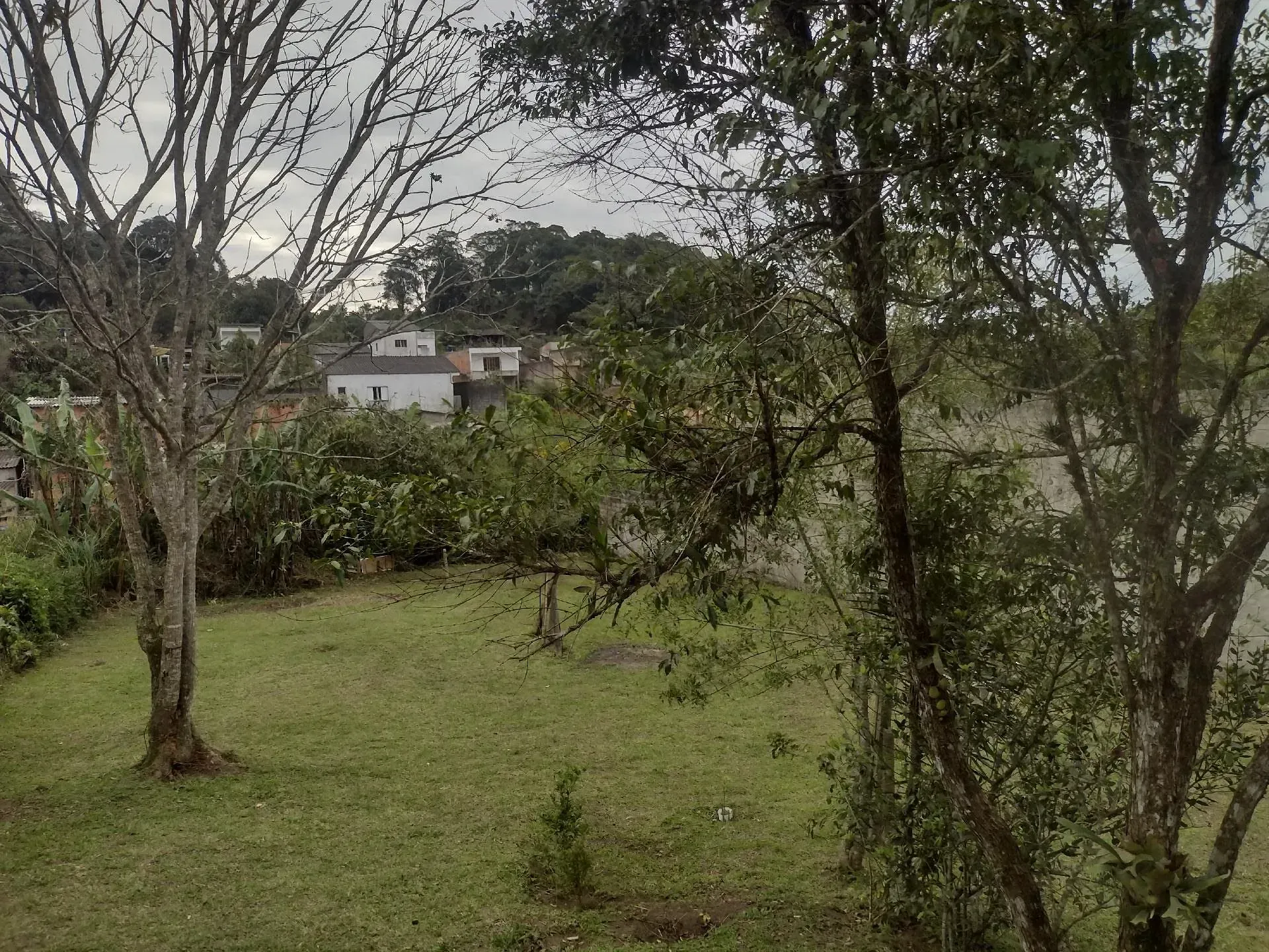 Chácara, 1 quarto, 1290 m² - Foto 12