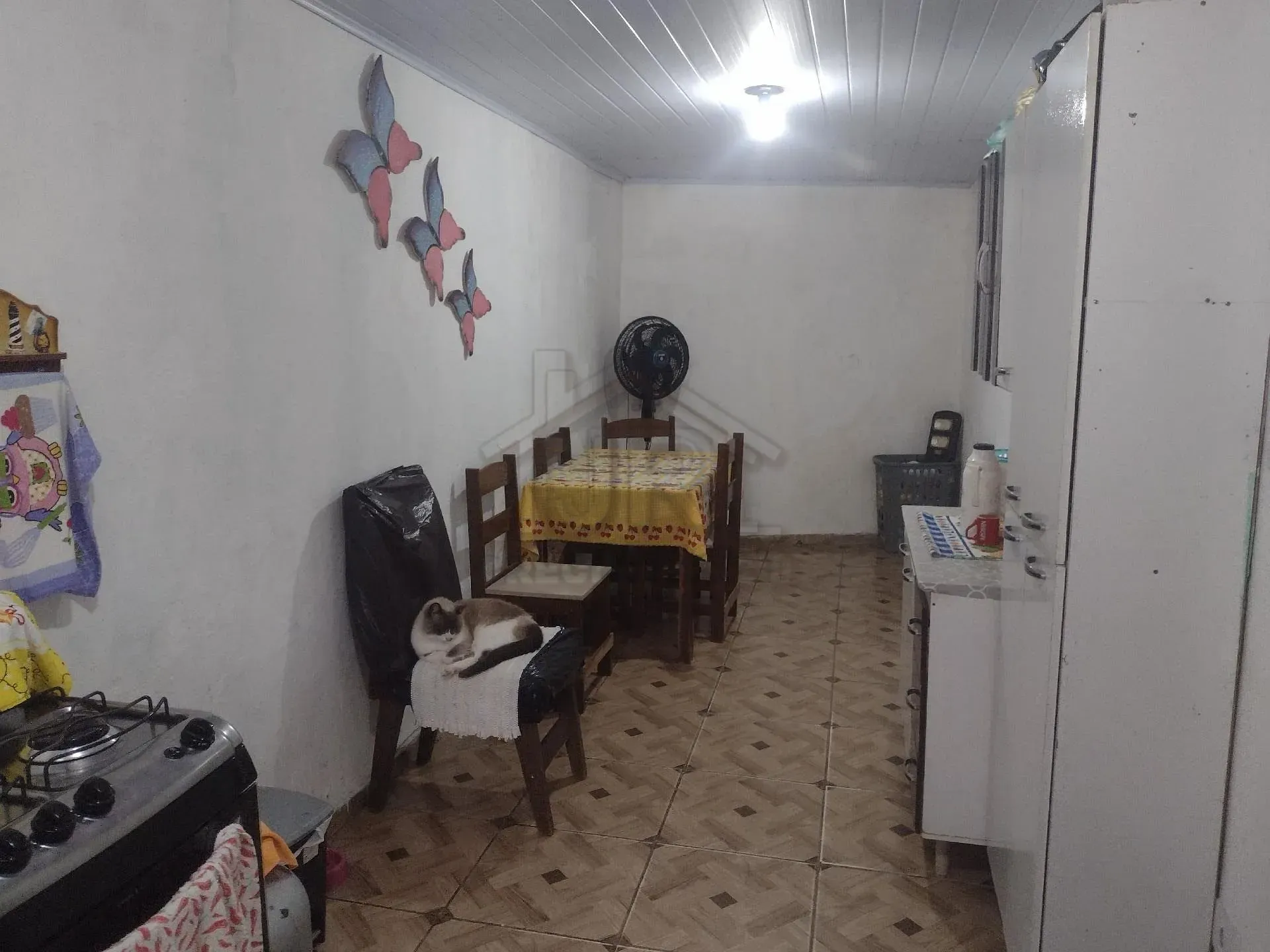 Chácara, 1 quarto, 1290 m² - Foto 2