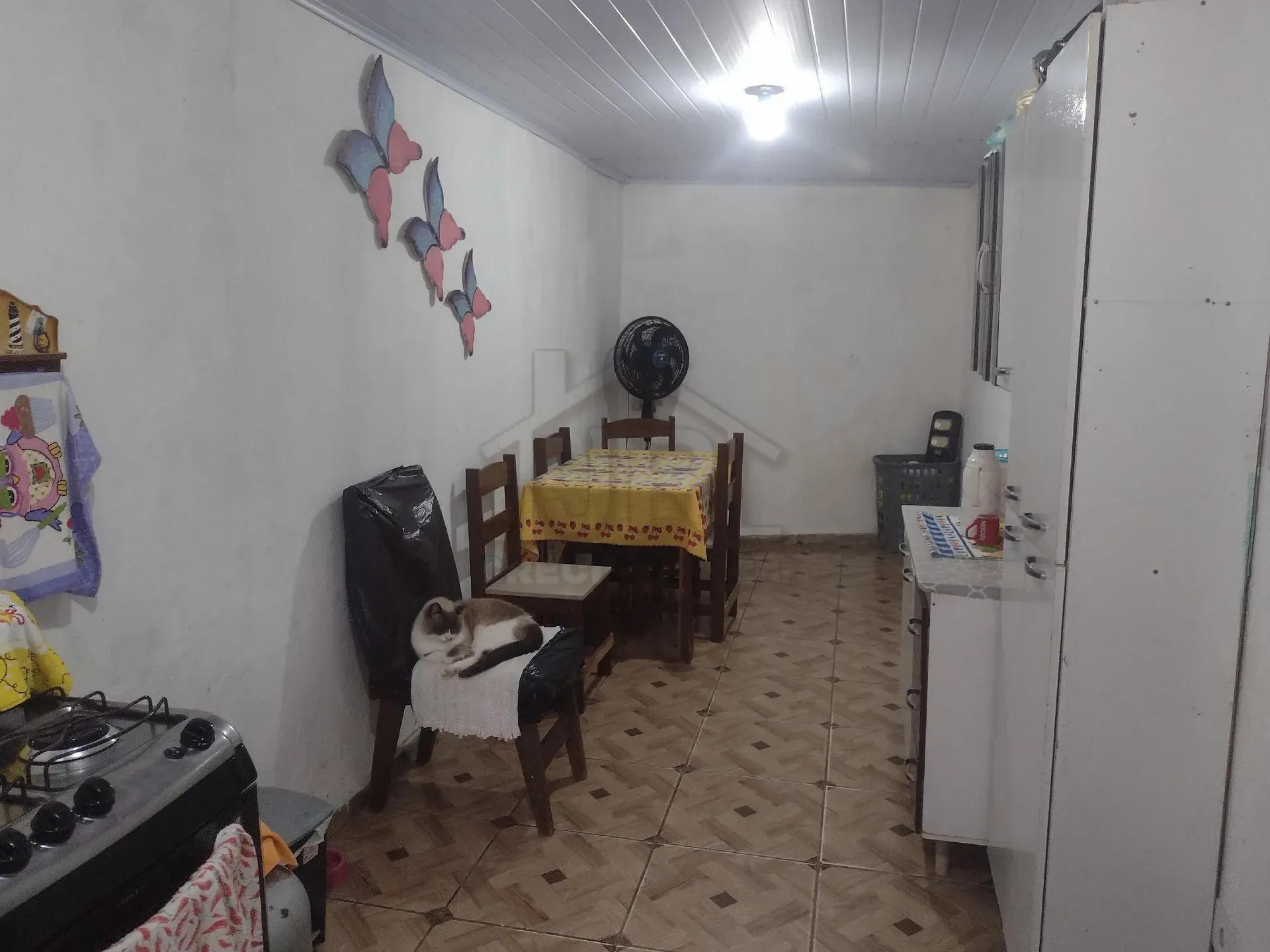 Chácara, 1 quarto, 1290 m² - Foto 8