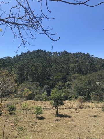 Chácara com 20000m² 2 quartos e 2 banheiros, à venda, no bairro Aldeia Ivoturucaia em Franco da Rocha