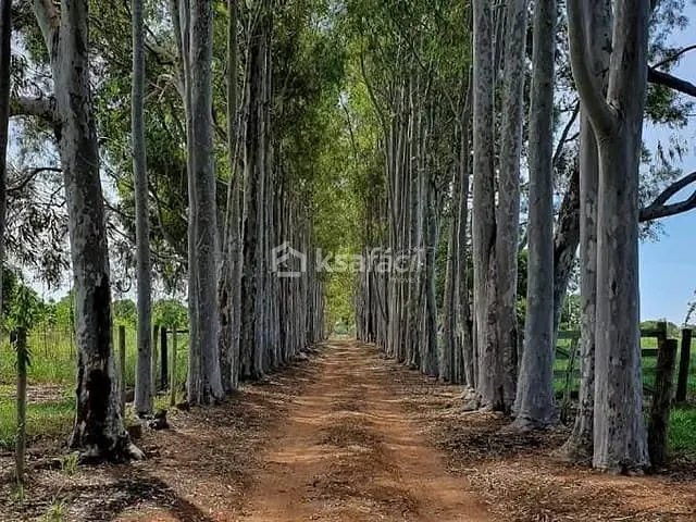 Chácara com 150000m², à venda, no bairro Chácara das Mansões em Campo Grande