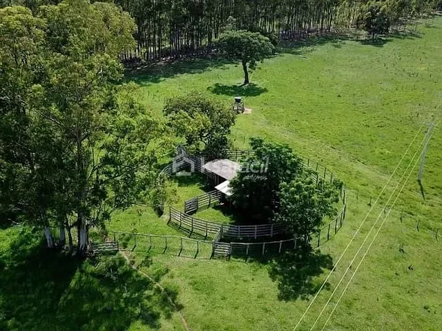 Chácara com 150000m², à venda, no bairro Chácara das Mansões em Campo Grande
