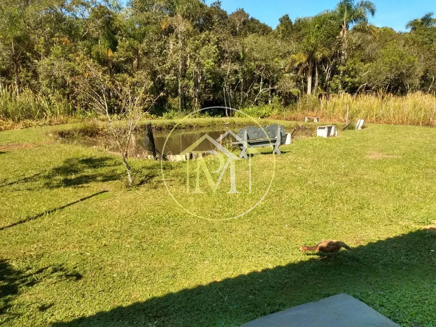 Chácara, 3 quartos, 1 hectares - Foto 1
