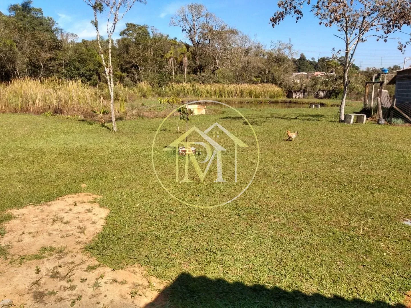 Chácara, 3 quartos, 1 hectares - Foto 4