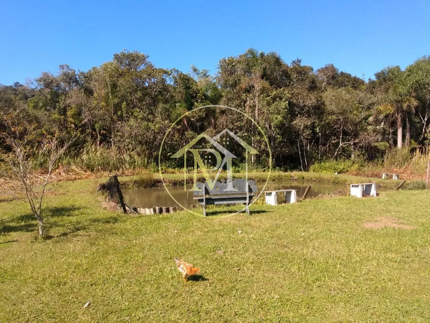 Chácara, 3 quartos, 1 hectares - Foto 3