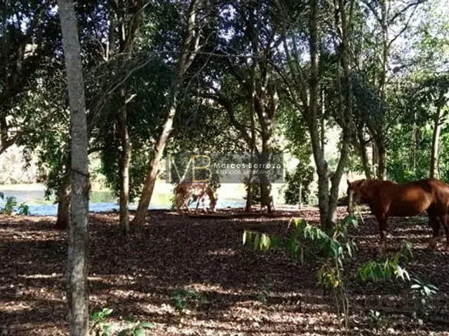 Chácara com 29375m², à venda, no bairro Fazenda da Nata em Londrina