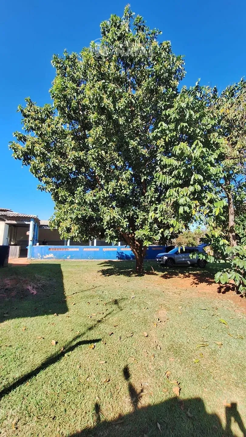 Sítio, 1 quarto, 4767 m² - Foto 38