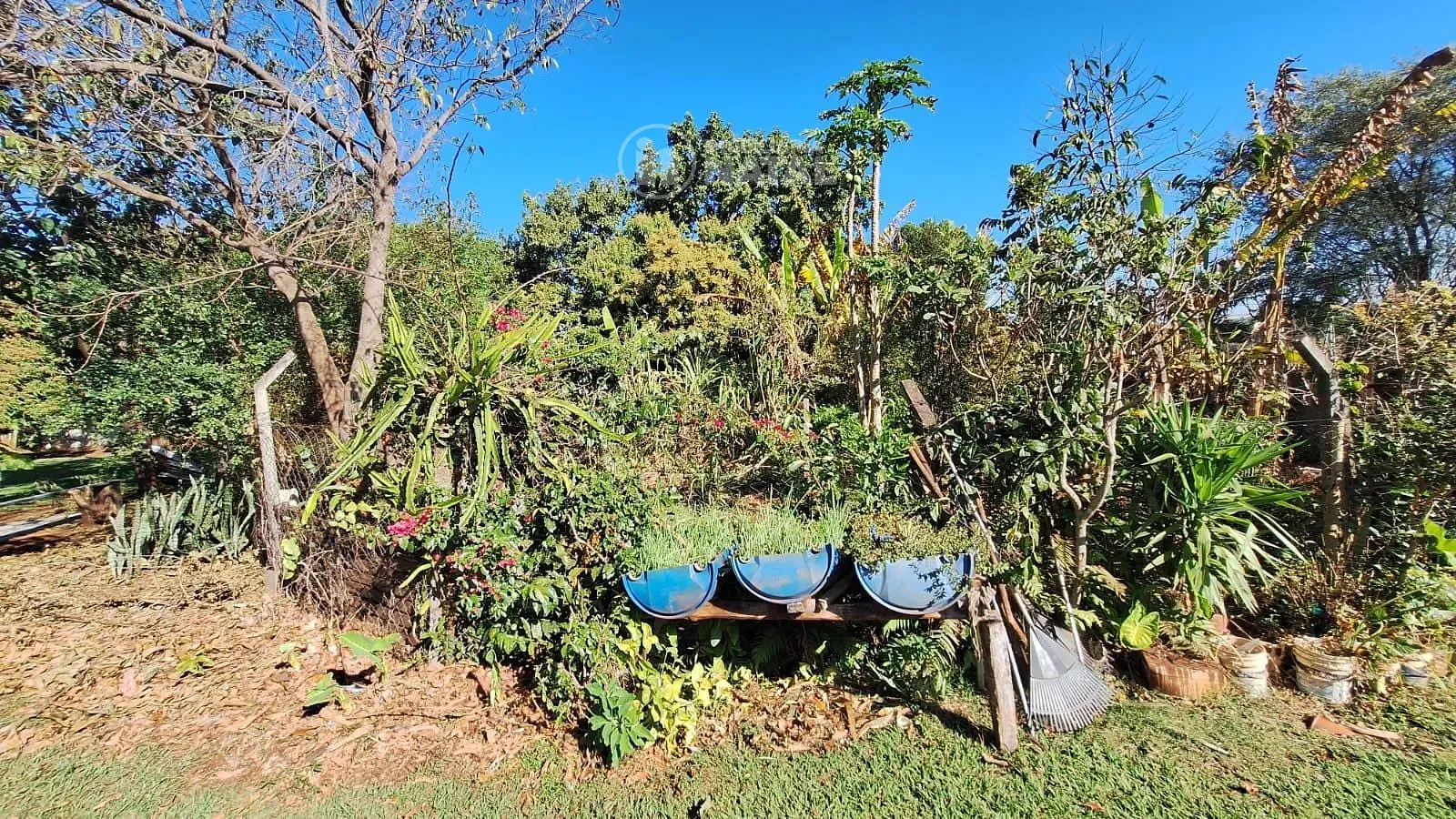 Sítio, 1 quarto, 4767 m² - Foto 39