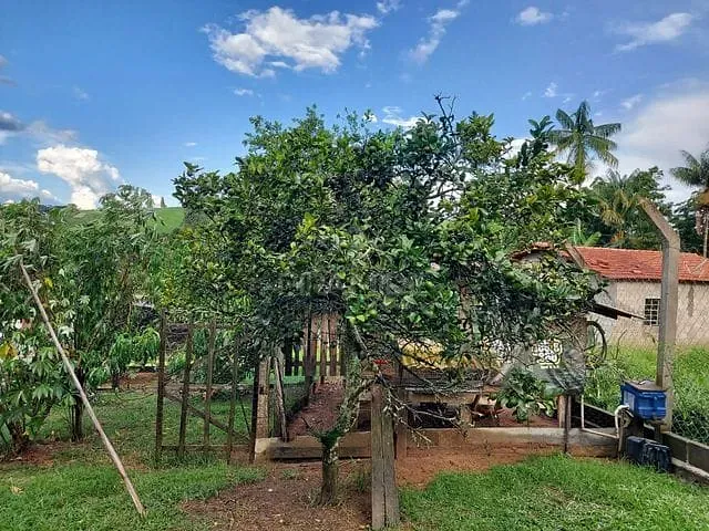 Chácara com 1800m² 2 quartos e 2 banheiros, à venda, no bairro Coroado em Caldas