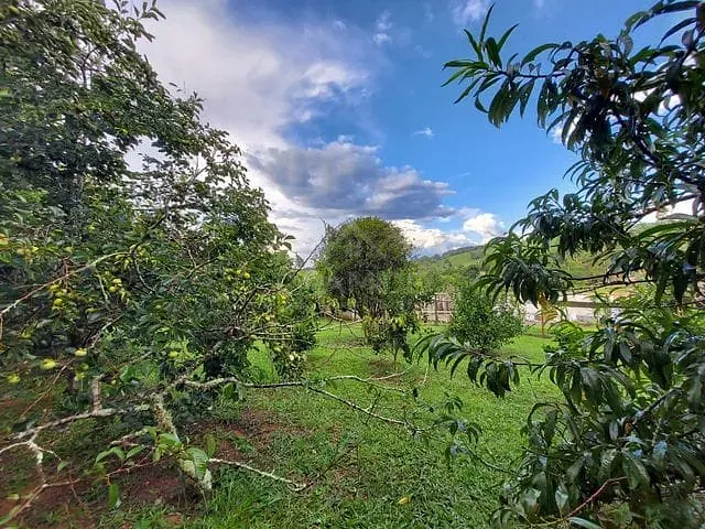 Chácara com 1800m² 2 quartos e 2 banheiros, à venda, no bairro Coroado em Caldas