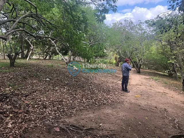 Sítio à venda, no bairro * em Maranguape