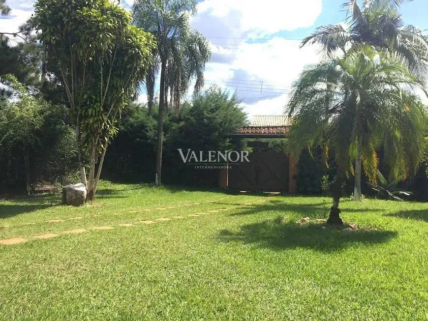 Sítio, 3 quartos, 5000 m² - Foto 6