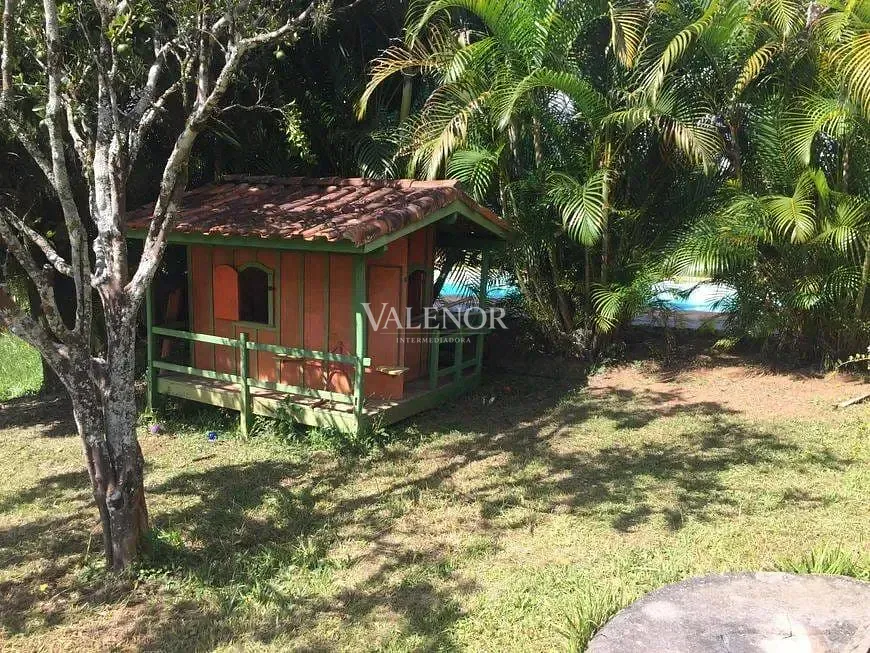Sítio, 3 quartos, 5000 m² - Foto 11