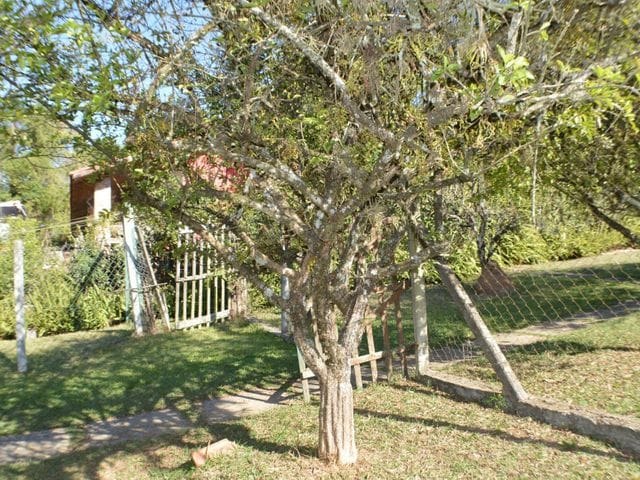 Chácara com 1500m² 3 quartos e 3 banheiros, à venda, no bairro Chácara Julieta Cristina em Bragança Paulista