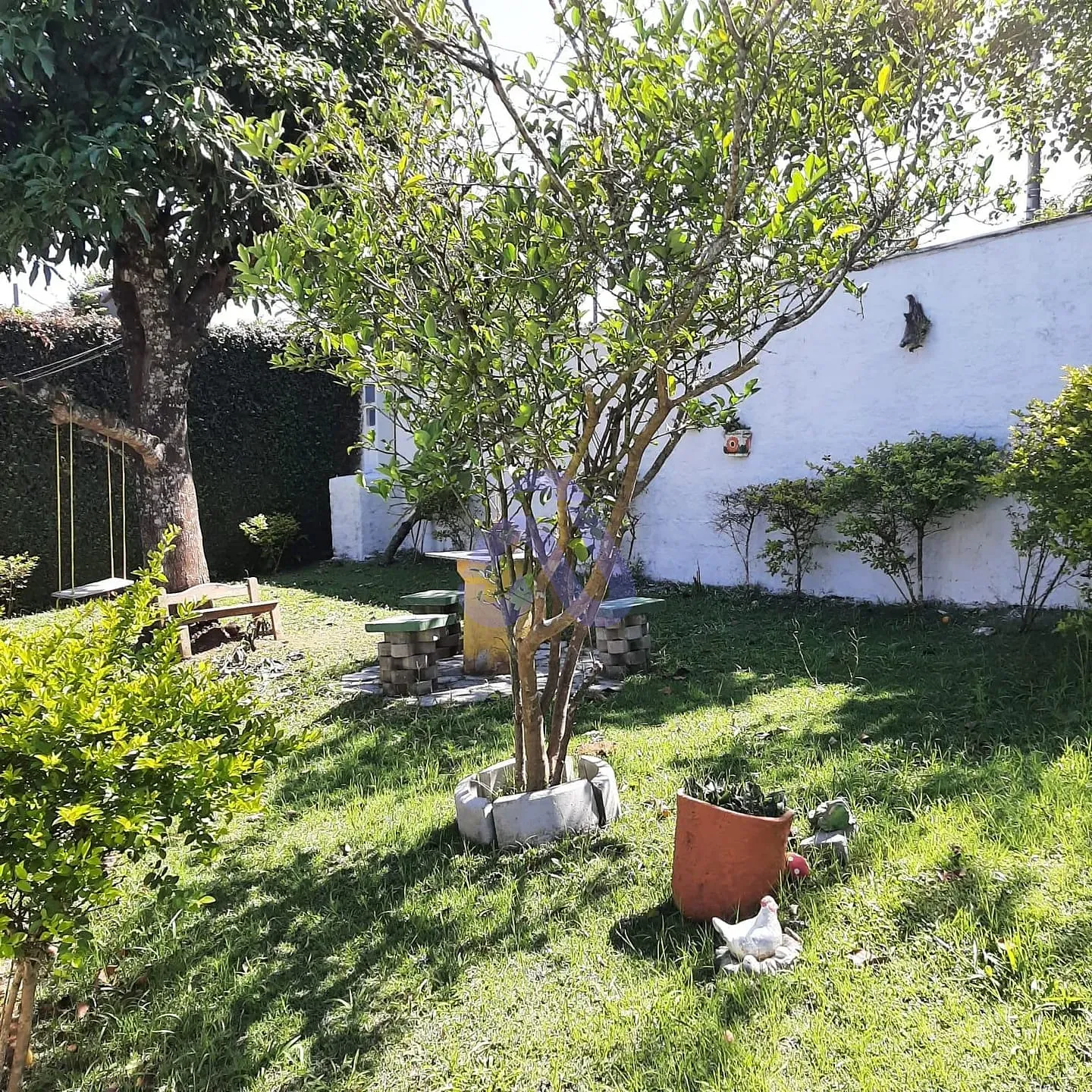 Chácara, 3 quartos, 1000 m² - Foto 24