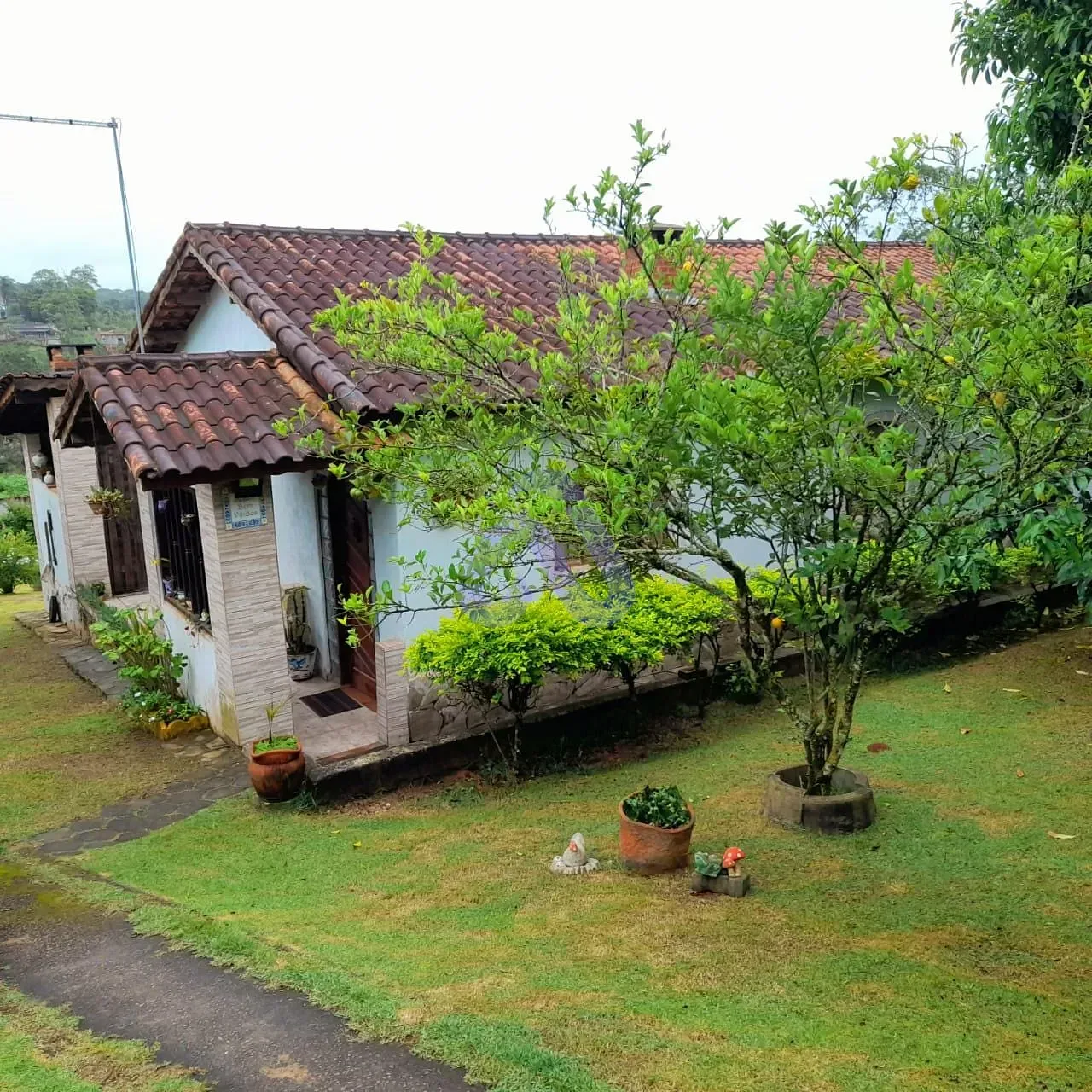Chácara, 3 quartos, 1000 m² - Foto 1