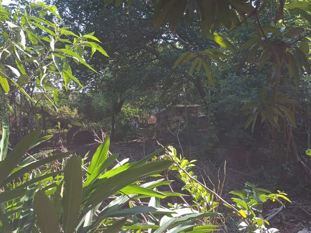 Chácara com 5000m² 1 quarto e 1 banheiro, à venda, no bairro Vila Rural em Ibiporã