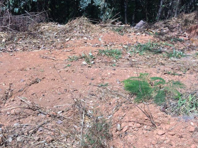 Chácara com 5600m², à venda, no bairro BR 153 em Hidrolândia