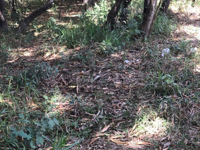 Chácara com 5600m², à venda, no bairro BR 153 em Hidrolândia