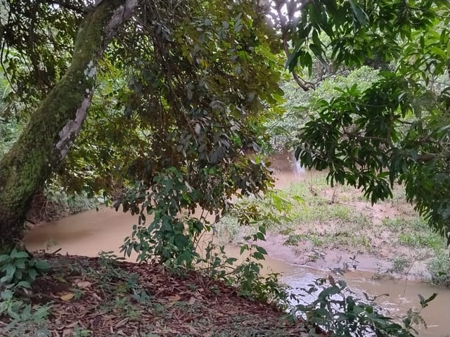 Chácara com 5600m², à venda, no bairro BR 153 em Hidrolândia