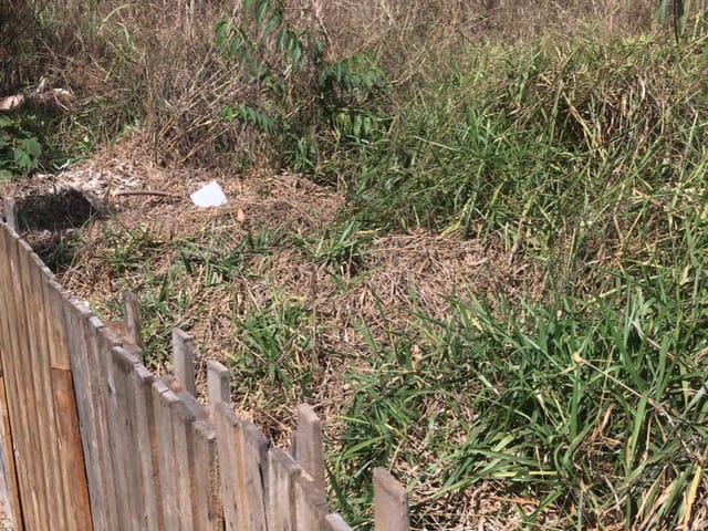 Chácara com 5600m², à venda, no bairro BR 153 em Hidrolândia