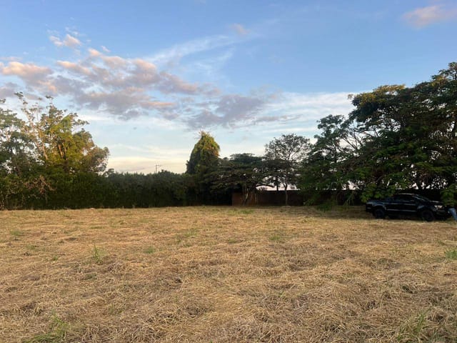 Terreno com 2500m², à venda, no bairro BETEL em Cristais Paulista