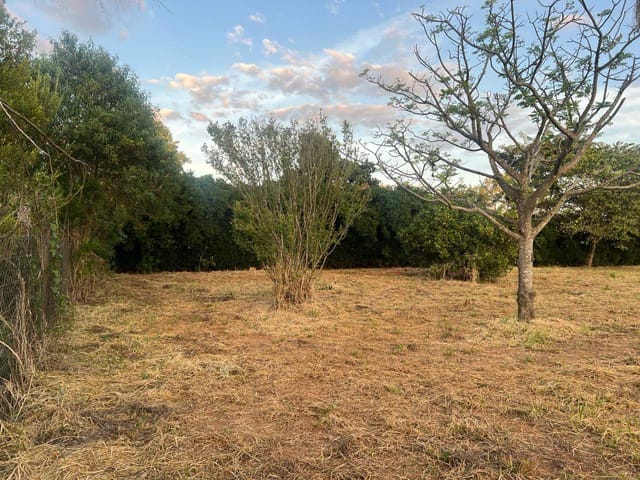 Terreno com 2500m², à venda, no bairro BETEL em Cristais Paulista