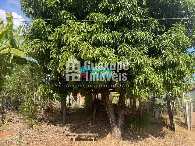 Chácara com 520m² 3 quartos e 1 banheiro, à venda, no bairro Japy em GUAXUPÉ