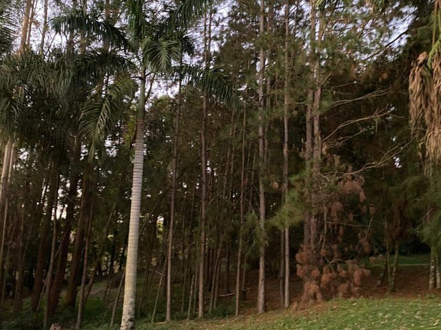 Chácara com 5407m² 4 quartos e 1 banheiro, à venda, no bairro Terras de Santa Maria II em Itu