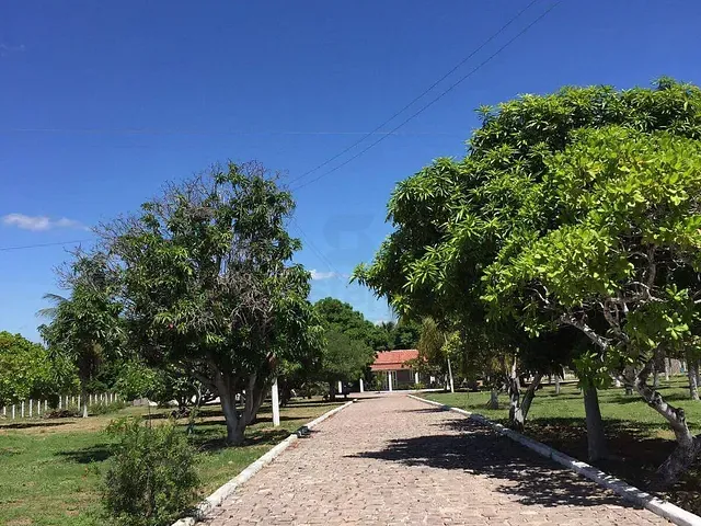 Chácara com 9000m² 2 quartos e 1 banheiro, à venda, no bairro Centro em Glória