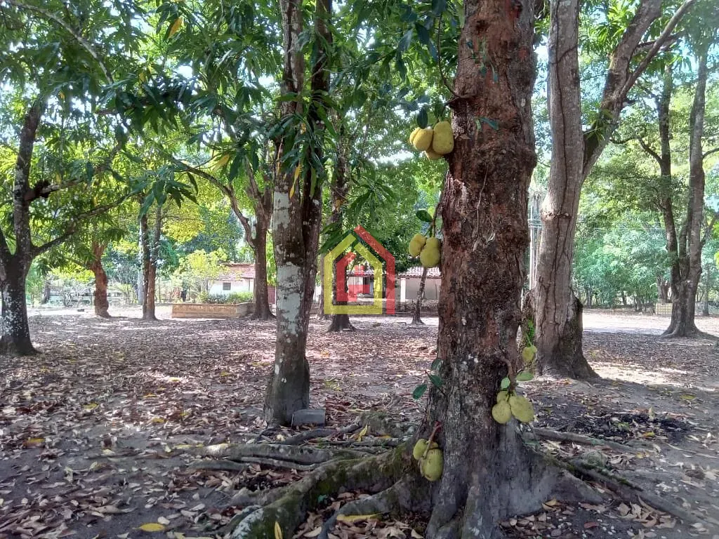 Rural para alugar com 300m² de terreno no Zona Rural, Marabá (PA) — foto 4 de 9