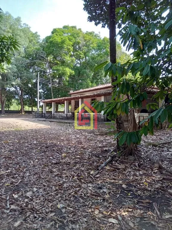 Rural para alugar com 300m² de terreno no Zona Rural, Marabá (PA) — foto 5 de 9