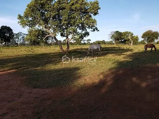 Chácara com 10000m², à venda, no bairro Chácara das Mansões em Campo Grande