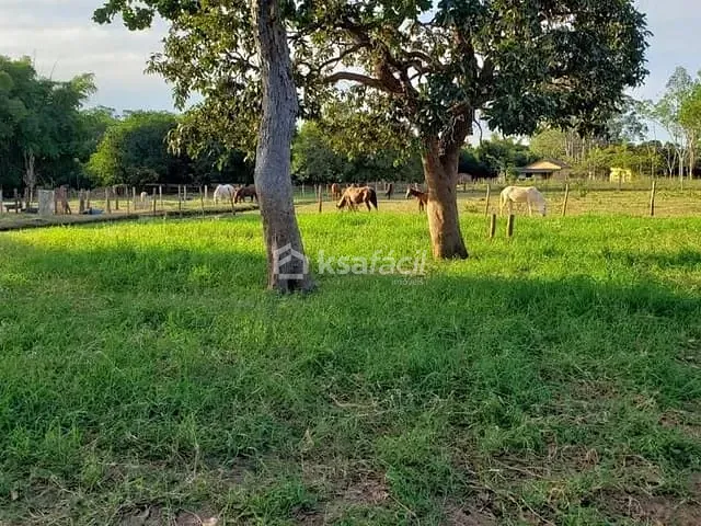 Chácara com 10000m², à venda, no bairro Chácara das Mansões em Campo Grande
