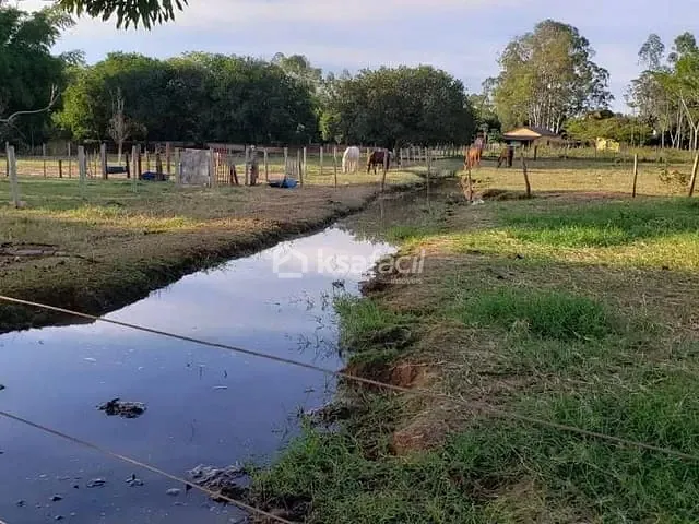 Chácara com 10000m², à venda, no bairro Chácara das Mansões em Campo Grande