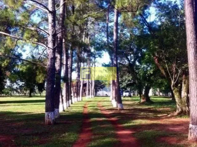 Chácara com 70m² 3 quartos e 2 banheiros, para alugar, no bairro São Benedito da Capelinha (Zona Rural) em São José do Rio Preto