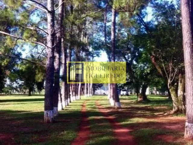 Chácara com 70m² 3 quartos e 2 banheiros, para alugar, no bairro São Benedito da Capelinha (Zona Rural) em São José do Rio Preto