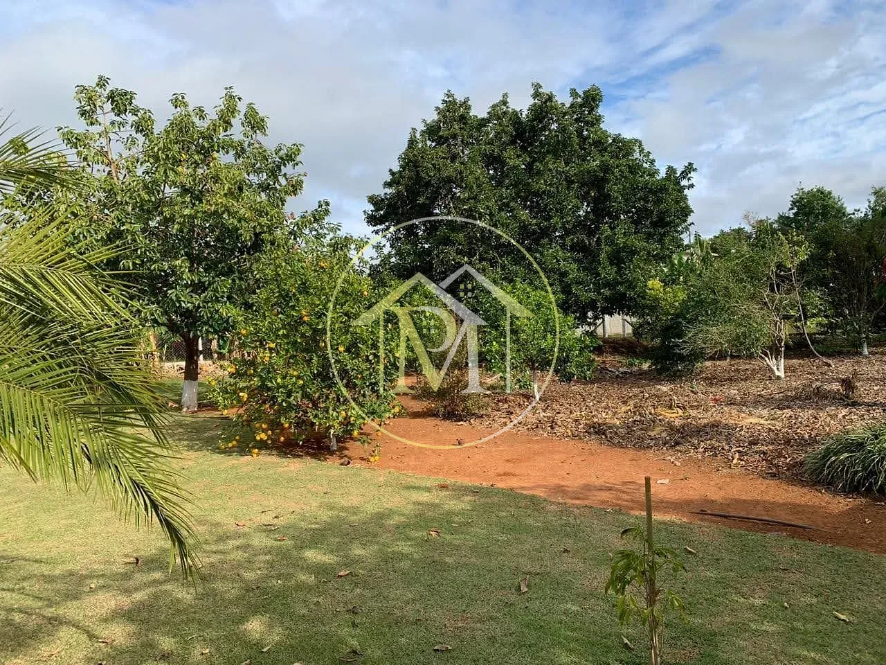 Chácara, 3 quartos, 5680 m² - Foto 19