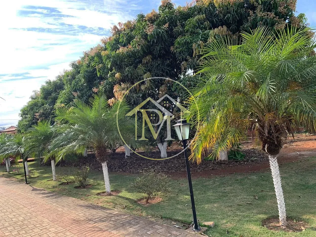 Chácara, 3 quartos, 5680 m² - Foto 26