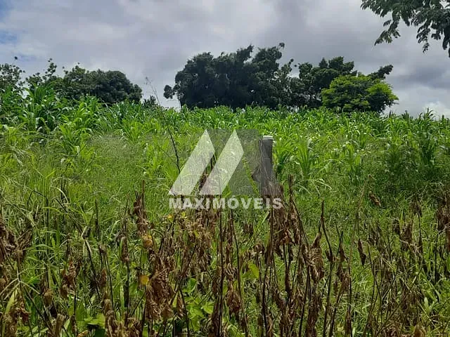 Chácara com 30000m² 1 quarto e 1 banheiro, à venda, no bairro Zona Rural em Coronel Murta