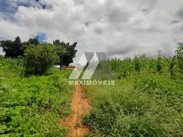 Chácara com 30000m² 1 quarto e 1 banheiro, à venda, no bairro Zona Rural em Coronel Murta
