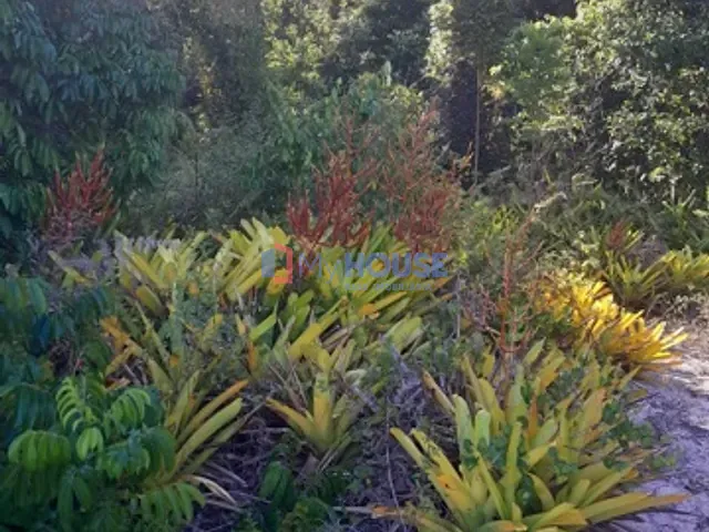 Chácara com 1600m², à venda, no bairro Ponta do ramo  em ilhéus