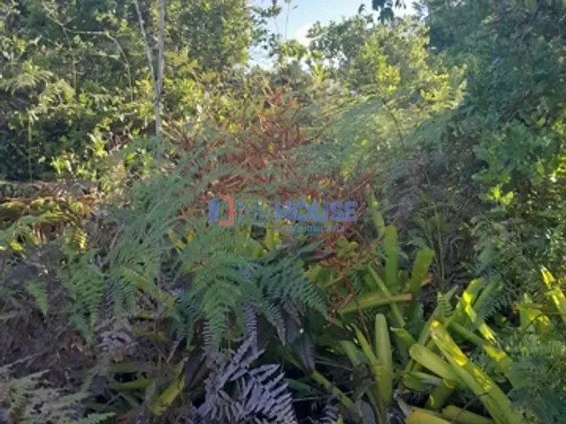 Chácara com 1600m², à venda, no bairro Ponta do ramo  em ilhéus