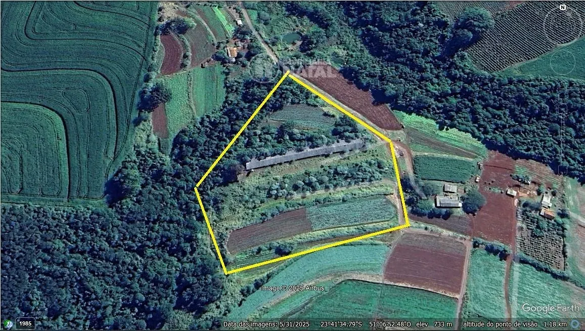Sítio, 1 quarto, 6 hectares - Foto 1