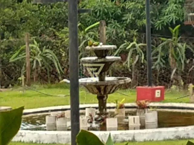 Chácara com 5000m² 3 quartos e 5 banheiros, à venda, no bairro Conjunto Habitacional Jardim das Palmeiras em Ribeirão Preto