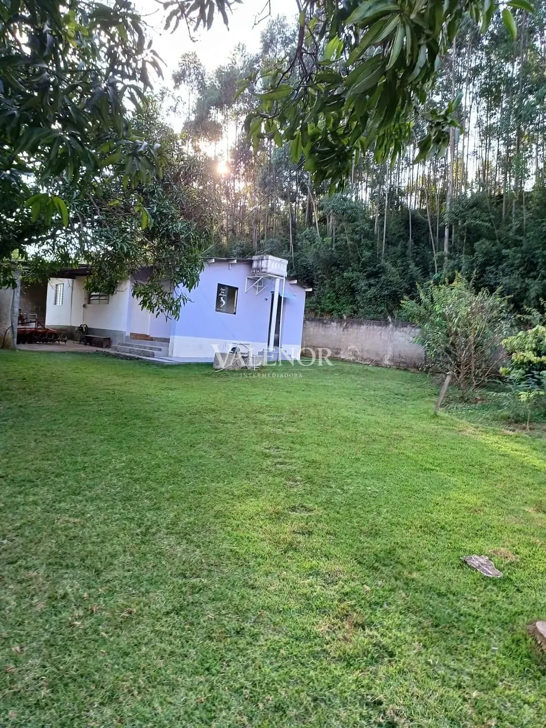Sítio, 4 quartos, 2 hectares - Foto 4