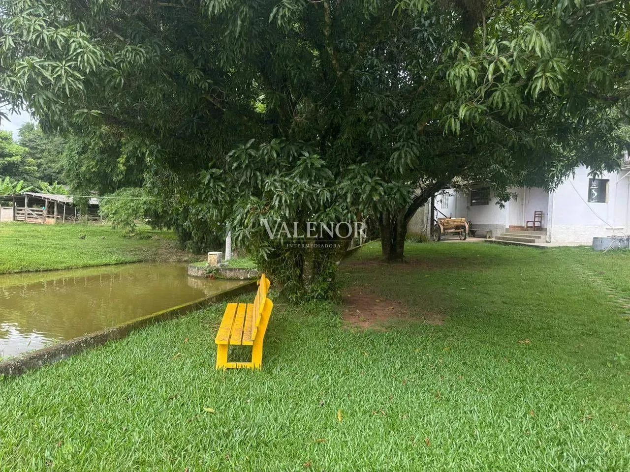 Sítio, 4 quartos, 2 hectares - Foto 16